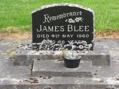 User uploaded image 47150