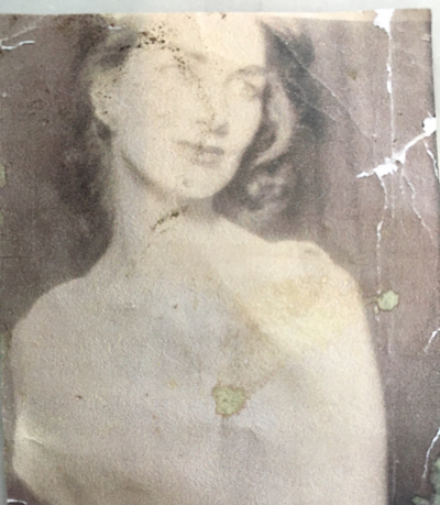 Journal image 47171