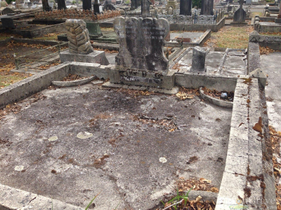User uploaded image 47199