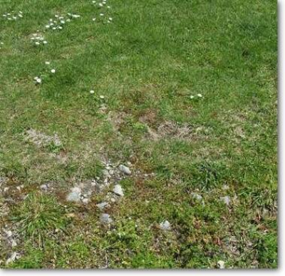 User uploaded image 47450