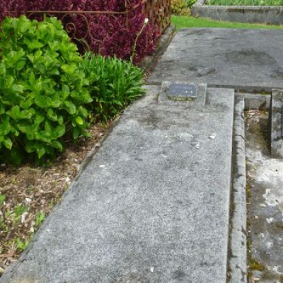 User uploaded image 47452