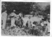Journal image 47582
