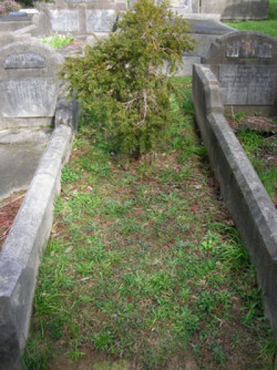 User uploaded image 47650