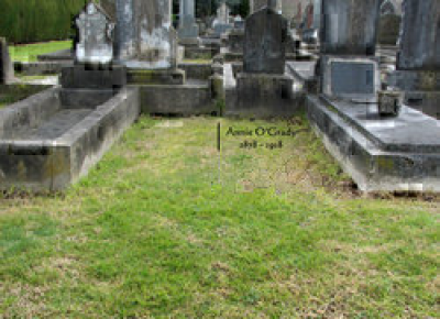 User uploaded image 47659