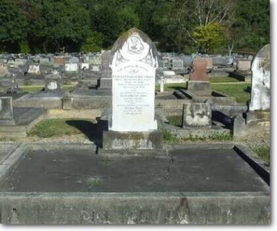 User uploaded image 47951