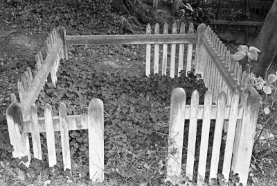 Journal image 48288