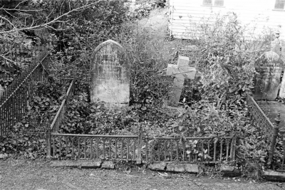 Journal image 48713