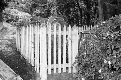 Journal image 48733