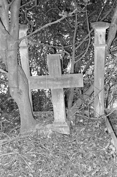 Journal image 48745