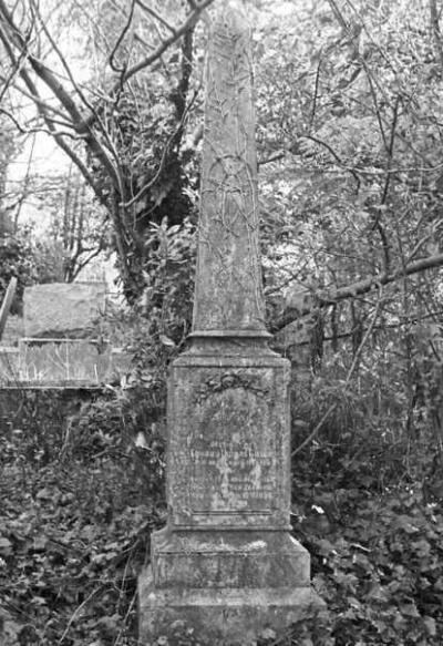 Journal image 48817