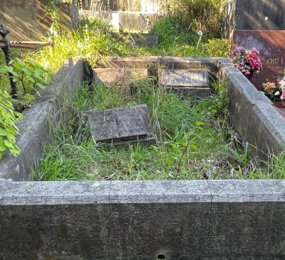 Journal image 48930