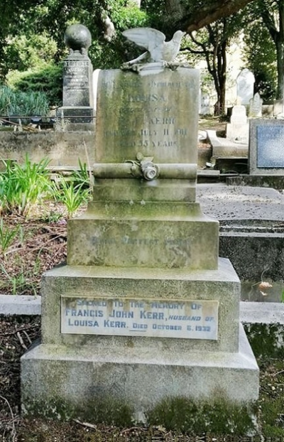 Journal image 49394