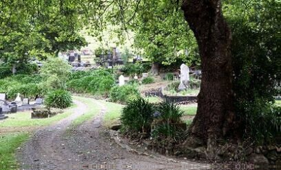 Journal image 49423